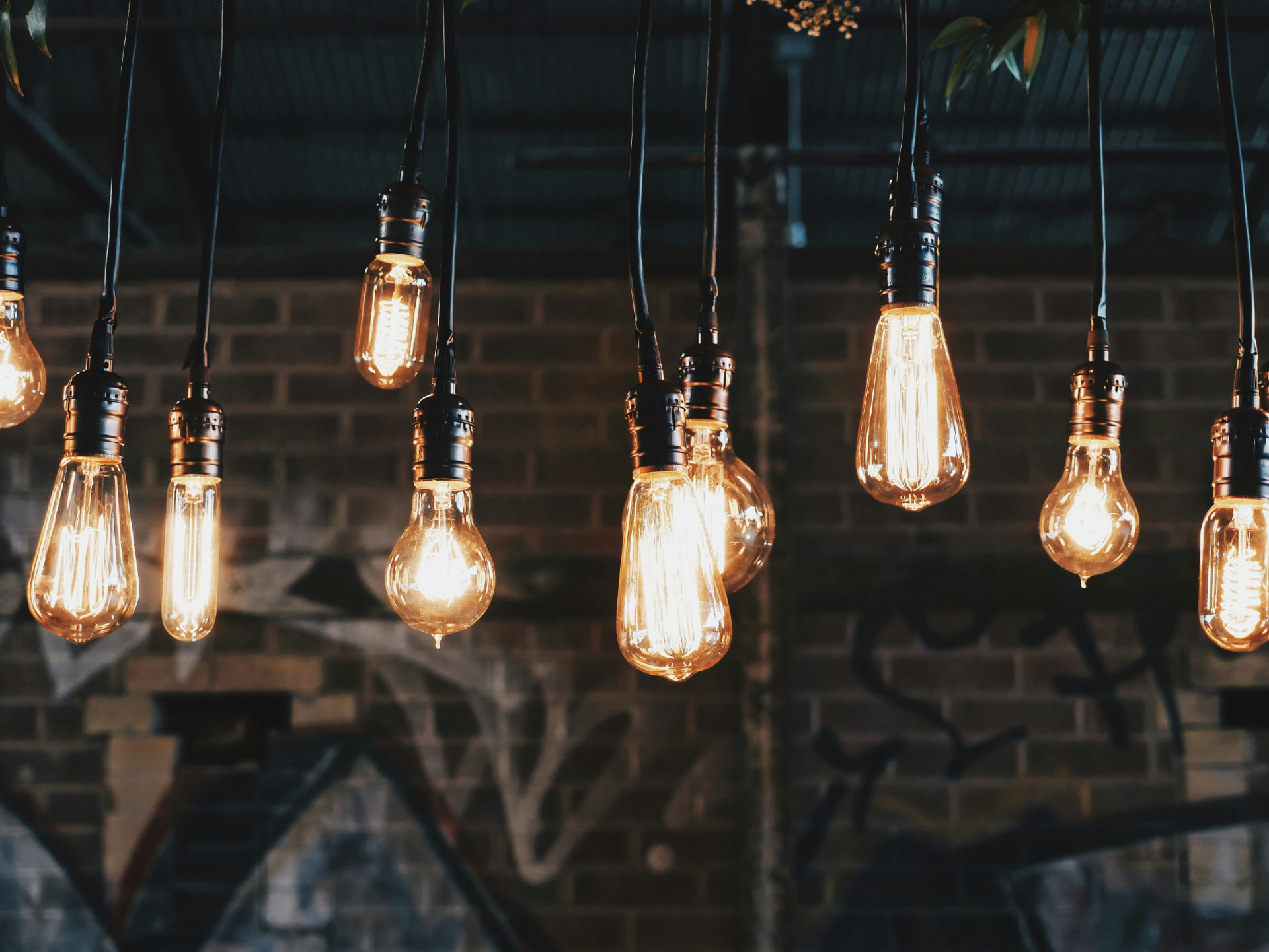 Feature lighting & pendants, Clifton
